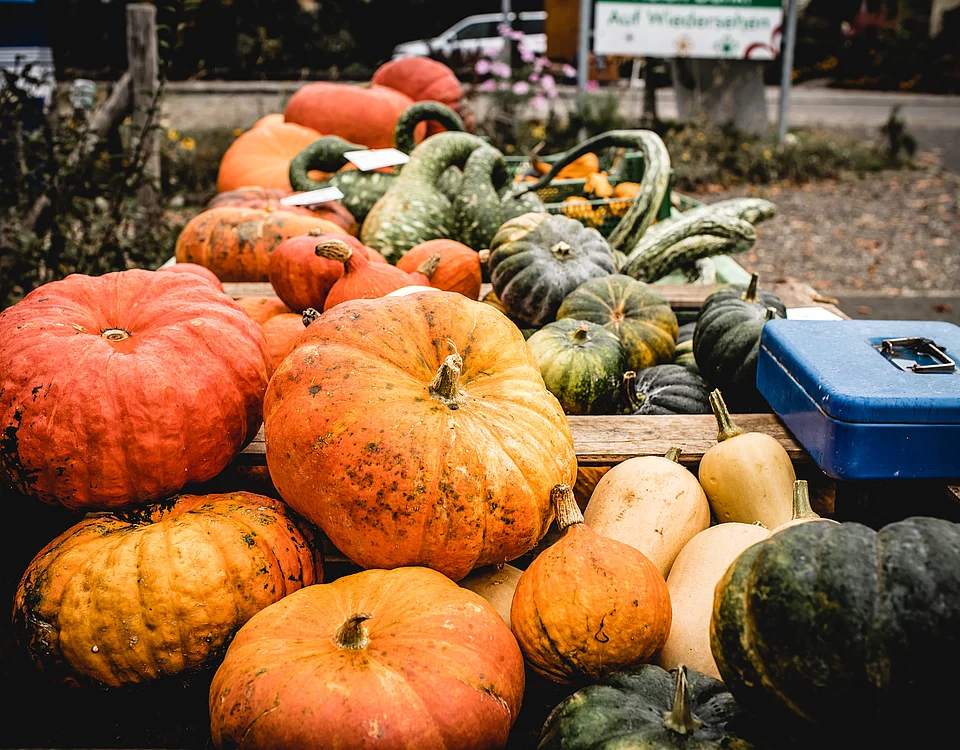 Kürbisse im Herbst