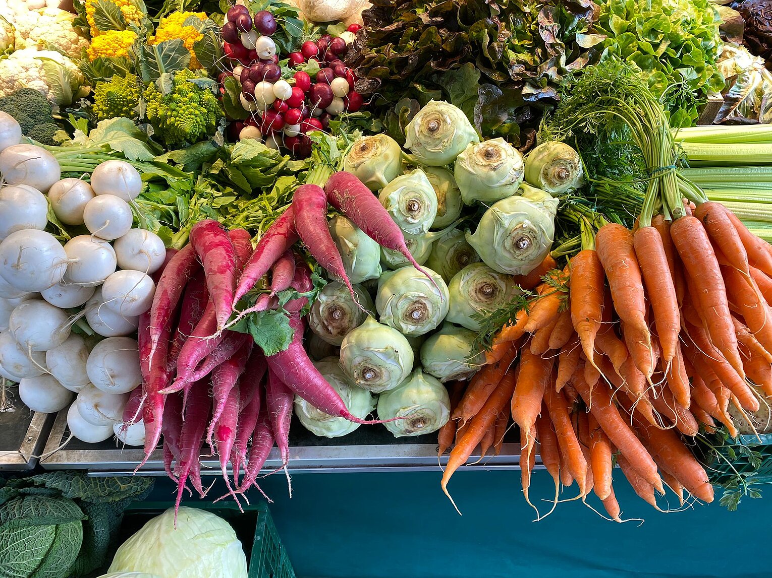 Verschiedene frische Gemüsesorten wie weiße, rote und orangefarbene Wurzeln, Kohlrabi, Salat und Sellerie in einem Marktstand.
