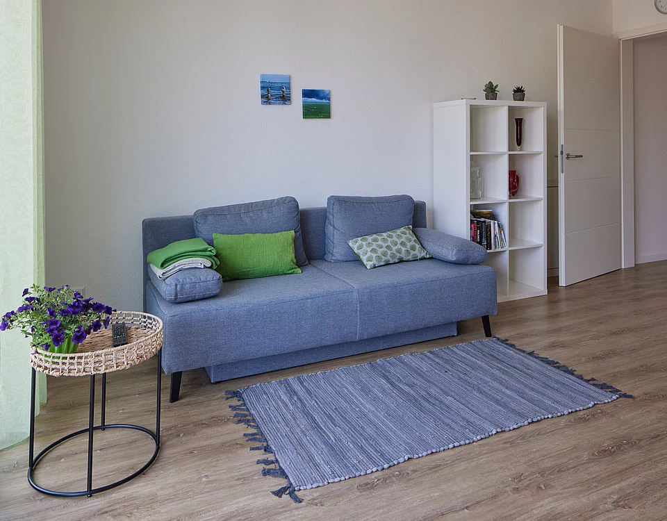 Helles Wohnzimmer mit grauem Sofa, bunten Kissen, kleinem Beistelltisch mit violetten Blumen, blauem Teppich und weißem Regal vor weißer Wand.