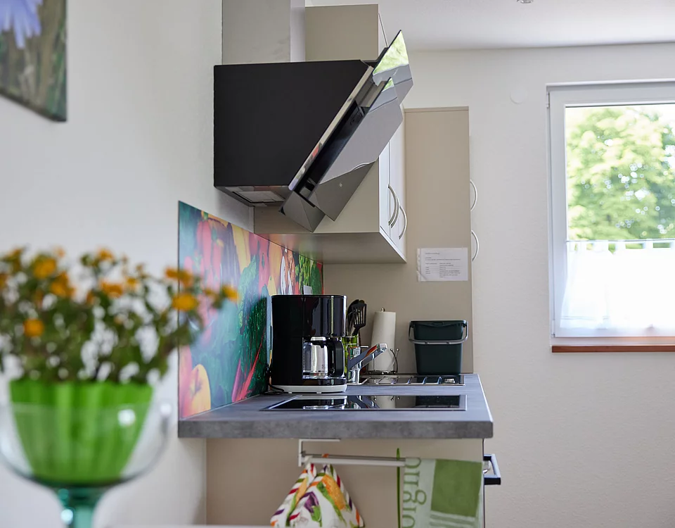 Moderne kleine Küche mit Kaffeemaschine, Herd, buntem Spritzschutz und Fenster mit Blick ins Grüne.