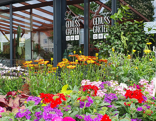 Bunt blühende Gartenpflanzen vor einem modernen, gläsernen Eingangsbereich mit der Aufschrift Genuss Garten.