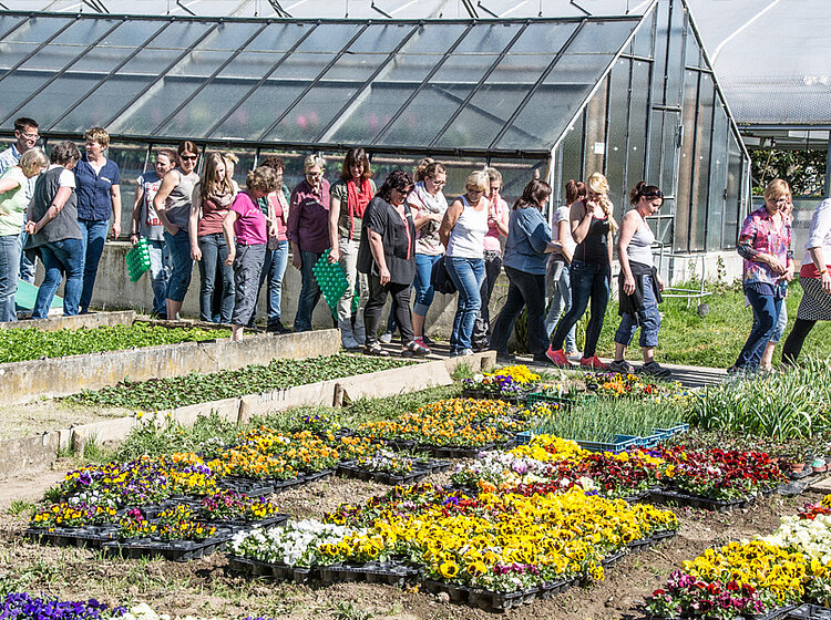 Gruppe von Menschen, die einem Pfad entlang eines Gartens mit bunten Blumen vor Gewächshäusern folgen.